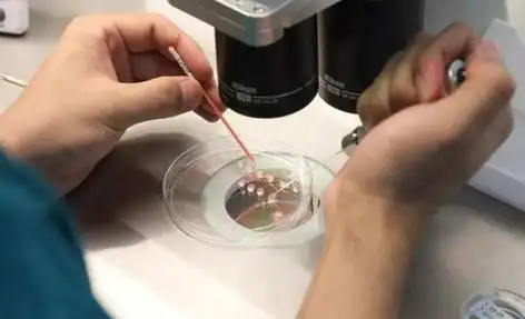 无锡打破偏见的生命礼赞：同性生子背后的爱与坚守